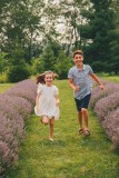 Lavender Farm